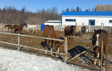 Similar image 22148953