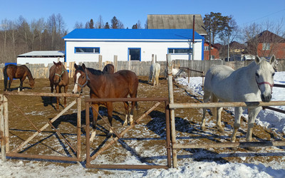 Similar image 22148954