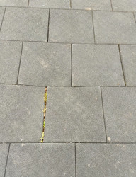 Similar image 22148955