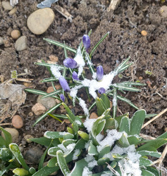 Similar image 22148956