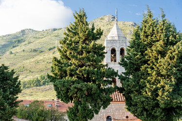 Similar image 22149731