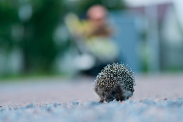 Similar image 22164548