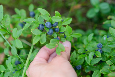 Similar image 22164550