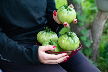 Similar image 22152300