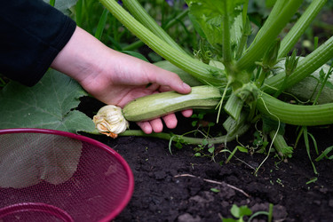 Similar image 22152305