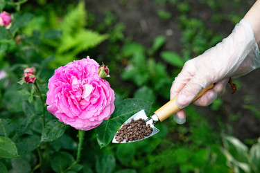 Similar image 22152306