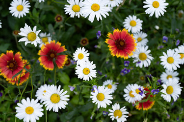 Similar image 22152307