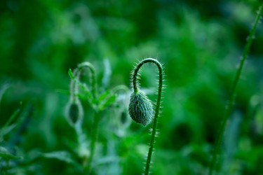 Similar image 22152713