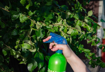 Similar image 22152714