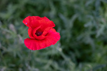 Similar image 22152715