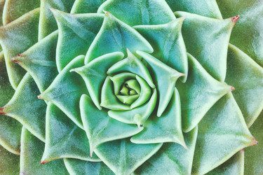 Similar image 22154652