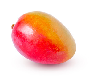 Similar image 22154663