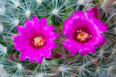 Similar image 22154671