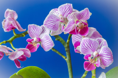 Similar image 22154686