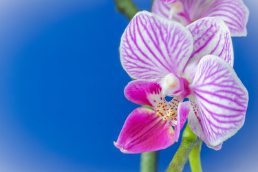 Similar image 22154688