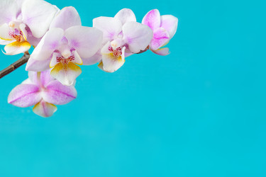 Similar image 22154692