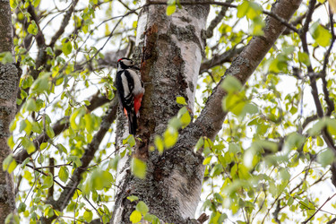 Similar image 22149244