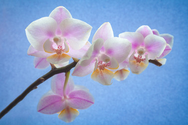 Similar image 22154694