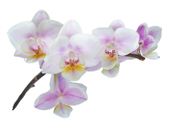 Similar image 22154696