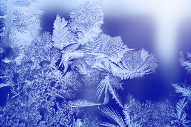 Similar image 22154974