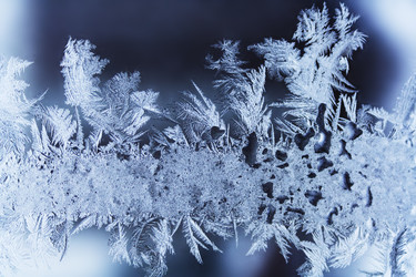 Similar image 22154976