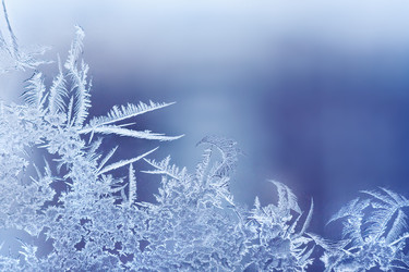 Similar image 22154980