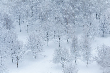 Similar image 22155009