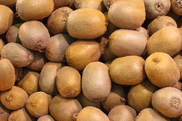 Similar image 22155193