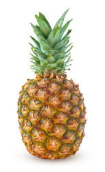 Similar image 22155200