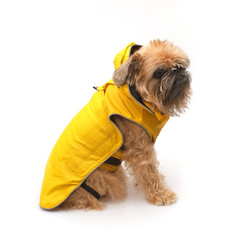 Similar image 22150394