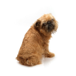 Similar image 22150398