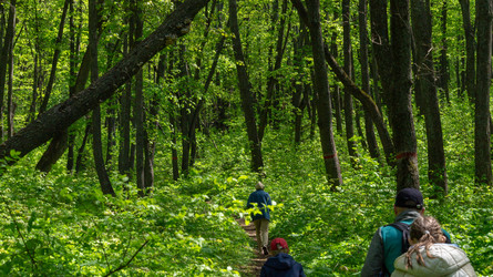 Similar image 22148983