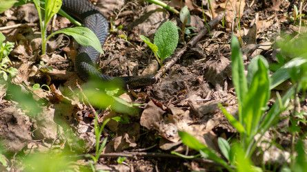 Similar image 22148984