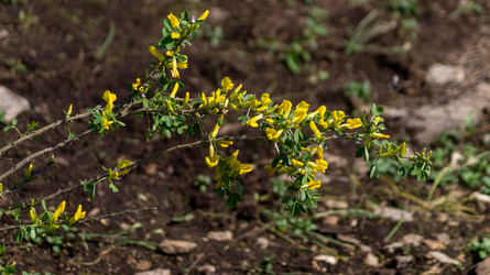 Similar image 22148985