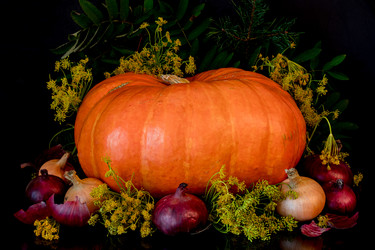 Similar image 22150098