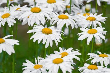 Similar image 22154724