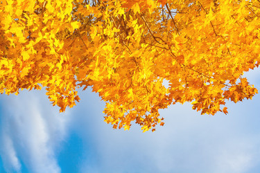 Similar image 22154750