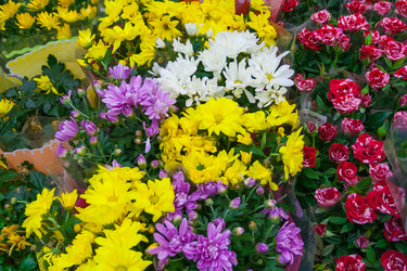 Similar image 22154752