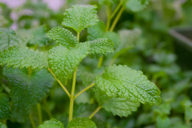 Similar image 22154758