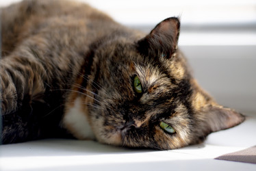 Similar image 22151621