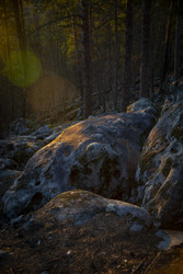 Similar image 22150099