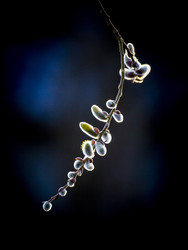 Similar image 22150100