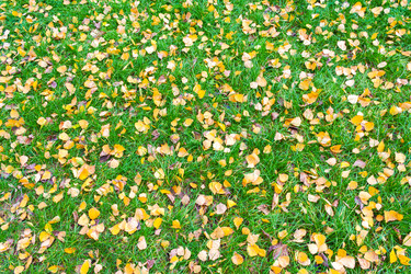 Similar image 22154759