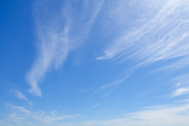 Similar image 22154766