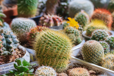 Similar image 22154782