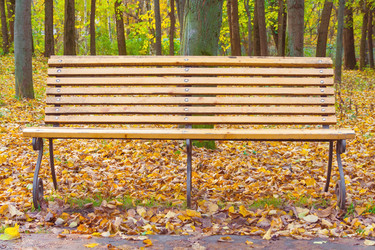 Similar image 22154785