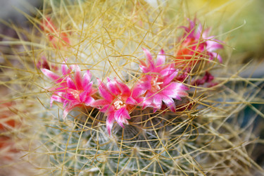 Similar image 22154789