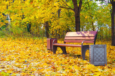 Similar image 22154991