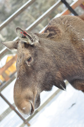 Similar image 22161179