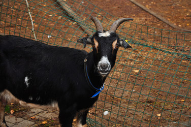 Similar image 22161180